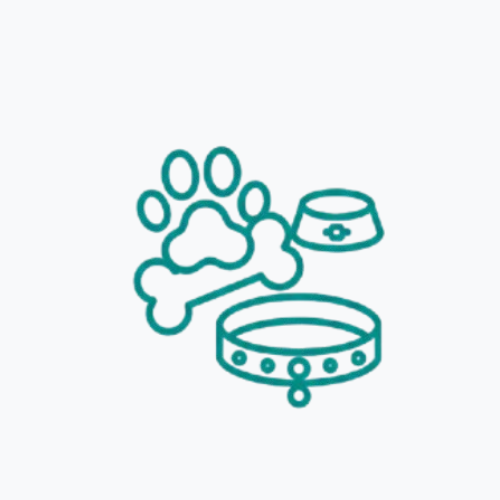 PET ACCESSORIES